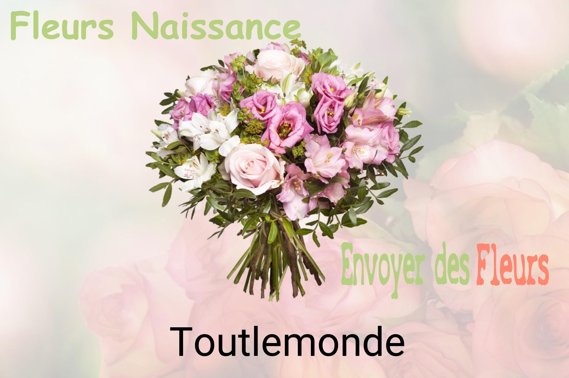 Bouquet de fleurs de naissance livré à Toutlemonde